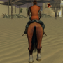 icon Horse RiderTreasure Hunt