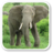 icon Elephant Sounds 1.0