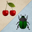 icon Do not tap the bugs 1.4.0
