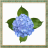 icon Hydrangea Flowers Onet Game 1.0