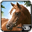 icon Horse Jump Run Simulator:Show 1.0