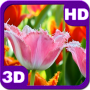 icon com.piedlove.fascinating.flowering.tulips.free
