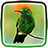 icon Hummingbird Live Wallpaper 1.6