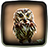 icon Owl Live Wallpaper 1.6