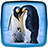 icon Penguin Live Wallpaper 1.6