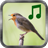 icon Bird Sounds 3.6