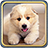 icon Cute Dogs Live Wallpaper HD 1.2