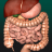 icon Internal Organs 3D Anatomy 3.1