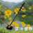 icon ErHu Music 3.0.1