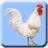 icon Flying chicken 1.10