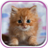 icon Cute Kittens Live Wallpaper 2.5