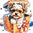 icon Dog Color 1.0.72