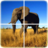 icon Animal Puzzle 1.3.9
