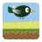 icon Crazy Bird 1.0
