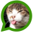 icon Cats for WhatsApp 1.0