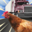 icon Chicken Royale 2.5