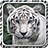 icon White Tiger Live Wallpaper 1.2