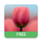 icon 3D Tulip Free 2.2
