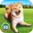 icon Play With Your Dog Shiba Inu 1.1.0
