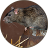 icon Mouse and Rat 1.6