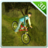 icon Up Hill Bicycle Crazy Rider3D 1.0