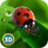 icon Ladybug Insect Simulator 3D 1.0
