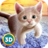 icon Home Cat Survival Simulator 3D 1.1.0