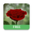 icon 3D Rose Live Wallpaper Free 5.5