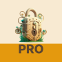 icon VPN XLock Pro