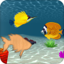 icon Fish Puzzles