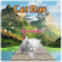 icon Cat Run