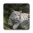 icon Tiger Live Wallpaper 1.0.9