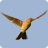 icon Bird sounds 1.16