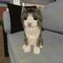 icon Kitty Cat Simulator