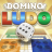 icon Ludo&Domino 1.0.20240228