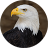icon Eagle Sounds 1.4