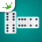 icon Dominoes 5.8.0