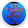 icon Galaxy Note 4 Aquarium LWP