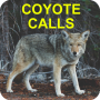 icon Coyote Calls