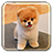 icon Puppy Live Wallpaper 1.10