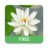 icon 3D Lotus Free 2.0