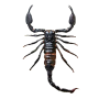 icon Scorpion