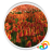 icon Tulips Field Live Wallpaper 1.1.b64014
