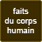 icon faitscorpshumain 0.0.6