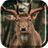 icon Herd of Deer Live Wallpaper 4.0