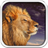 icon Wild Lion Live Wallpaper HD 3.8