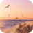 icon Peaceful Wallpapers 1.0