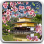 icon Sakura Garden Live Wallpaper