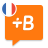 icon French 20.41.1