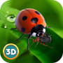 icon Ladybug Insect Simulator 3D